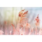 تابلو 5 تکه جذاب و ملیح کد 0293 - تصویر 6