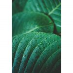 تابلو 7 تکه پرانرژی سبز رنگ کد 0296 - تصویر 3