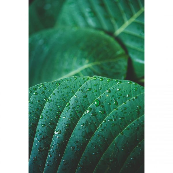 501 تابلو 7 تکه پرانرژی سبز رنگ کد 0296 - تصویر 3