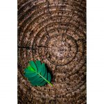 تابلو 7 تکه پرانرژی سبز رنگ کد 0296 - تصویر 5