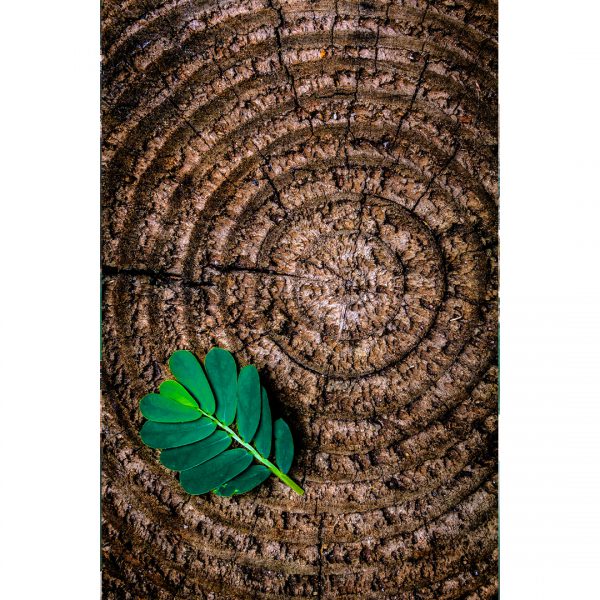 503 تابلو 7 تکه پرانرژی سبز رنگ کد 0296 - تصویر 5