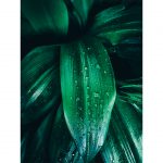 تابلو 7 تکه پرانرژی سبز رنگ کد 0296 - تصویر 8