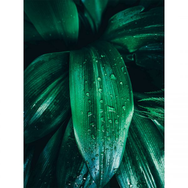 506 تابلو 7 تکه پرانرژی سبز رنگ کد 0296 - تصویر 8