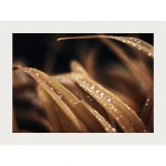 تابلو 7 تکه جذاب قهوه ای کد 0297 - تصویر 5