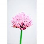 تابلو 6 تکه فوق العاده زیبا کد 0298 - تصویر 7