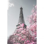 تابلو 6 تکه فوق العاده زیبا کد 0298 - تصویر 2