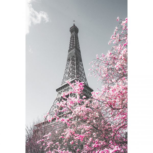 522 تابلو 6 تکه فوق العاده زیبا کد 0298 - تصویر 2