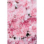 تابلو 6 تکه فوق العاده زیبا کد 0298 - تصویر 4