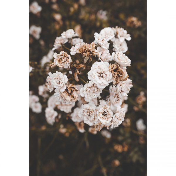 تابلو 8 تکه جذاب سبز و قهوه ای کد 0305 - تصویر 3