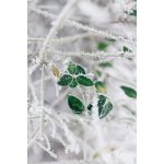 تابلو 8 تکه جذاب سبز و قهوه ای کد 0305 - تصویر 5