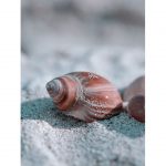 تابلو 8 تکه جذاب سبز و قهوه ای کد 0305 - تصویر 6