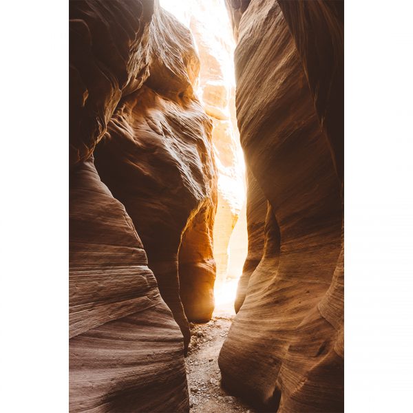 تابلو 8 تکه جذاب سبز و قهوه ای کد 0305 - تصویر 7