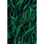 تابلو 8 تکه جذاب سبز و قهوه ای کد 0305 - تصویر 8