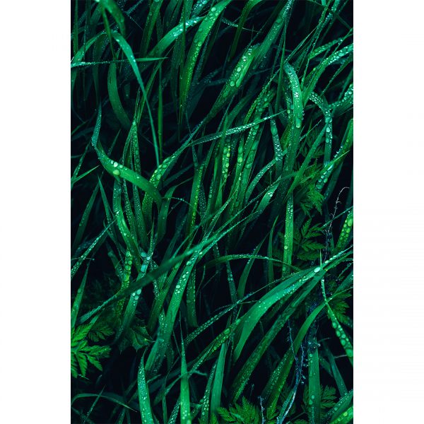 تابلو 8 تکه جذاب سبز و قهوه ای کد 0305 - تصویر 8