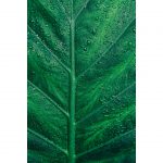 تابلو 8 تکه جذاب سبز و قهوه ای کد 0305 - تصویر 2