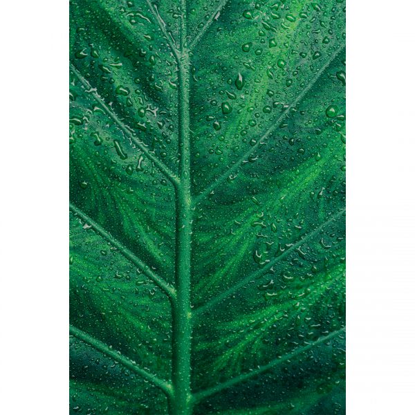 تابلو 8 تکه جذاب سبز و قهوه ای کد 0305 - تصویر 2