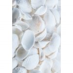 تابلو 8 تکه جذاب با تم ملایم کد 0307 - تصویر 5