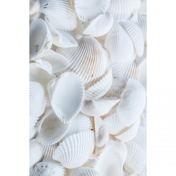 تابلو 8 تکه جذاب با تم ملایم کد 0307 - تصویر 5