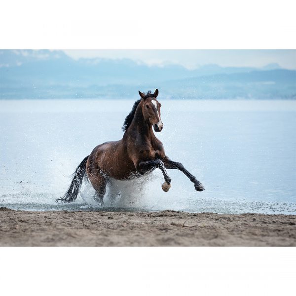 تابلو 8 تکه جذاب با تم ملایم کد 0307 - تصویر 7