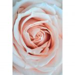 تابلو 8 تکه جذاب با تم ملایم کد 0307 - تصویر 8