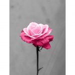 تابلو 7 تکه فوق العاده جذاب طوسی، مشکی و صورتی کد 0312 - تصویر 7