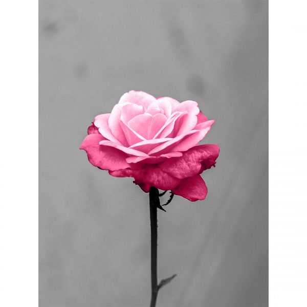 تابلو 7 تکه فوق العاده جذاب طوسی، مشکی و صورتی کد 0312 - تصویر 7