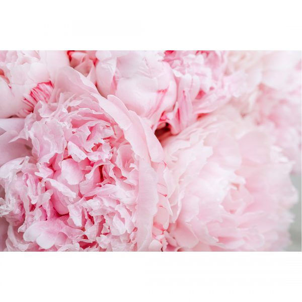 تابلو 7 تکه فوق العاده جذاب طوسی، مشکی و صورتی کد 0312 - تصویر 2