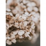 تابلو  7 تکه فوق العاده جذاب قهوه ای و کرمی 0314 - تصویر 4