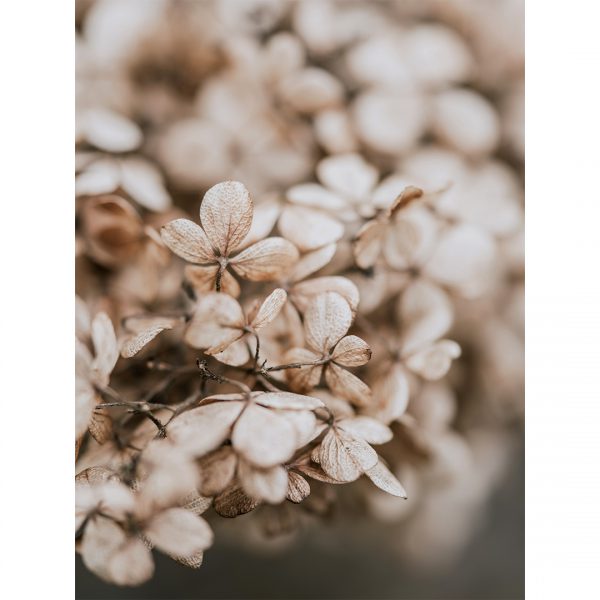 تابلو  7 تکه فوق العاده جذاب قهوه ای و کرمی 0314 - تصویر 4