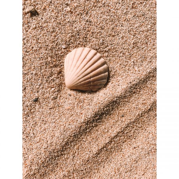 تابلو  7 تکه فوق العاده جذاب قهوه ای و کرمی 0314 - تصویر 6