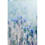 تابلو 6 تکه خیلی خوشگل کد 0321 - تصویر 5